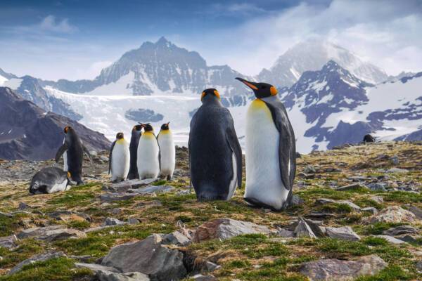 Antarctica